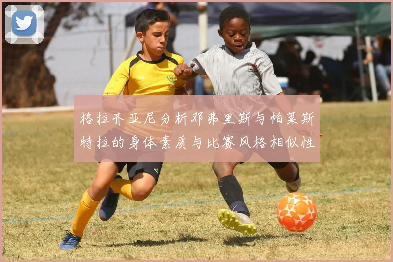 格拉齐亚尼分析邓弗里斯与帕莱斯特拉的身体素质与比赛风格相似性