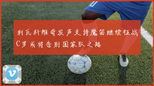 利瓦科维奇发声支持魔笛继续征战C罗或将告别国家队之路