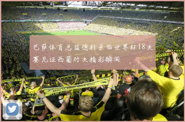巴萨体育总监德科亲临世界杯18决赛见证西葡对决精彩瞬间